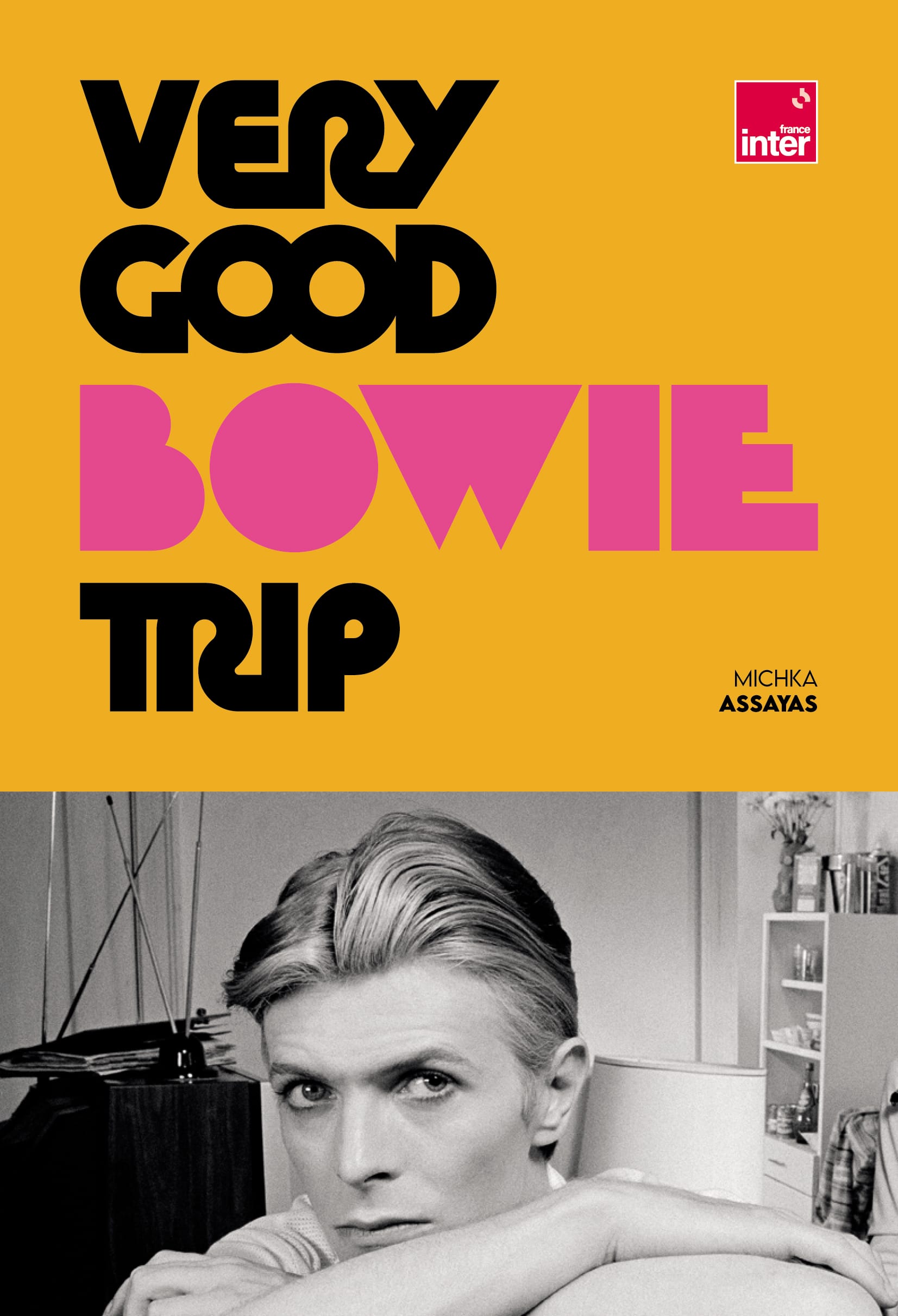 Very Good Bowie Trip - Michka Assayas