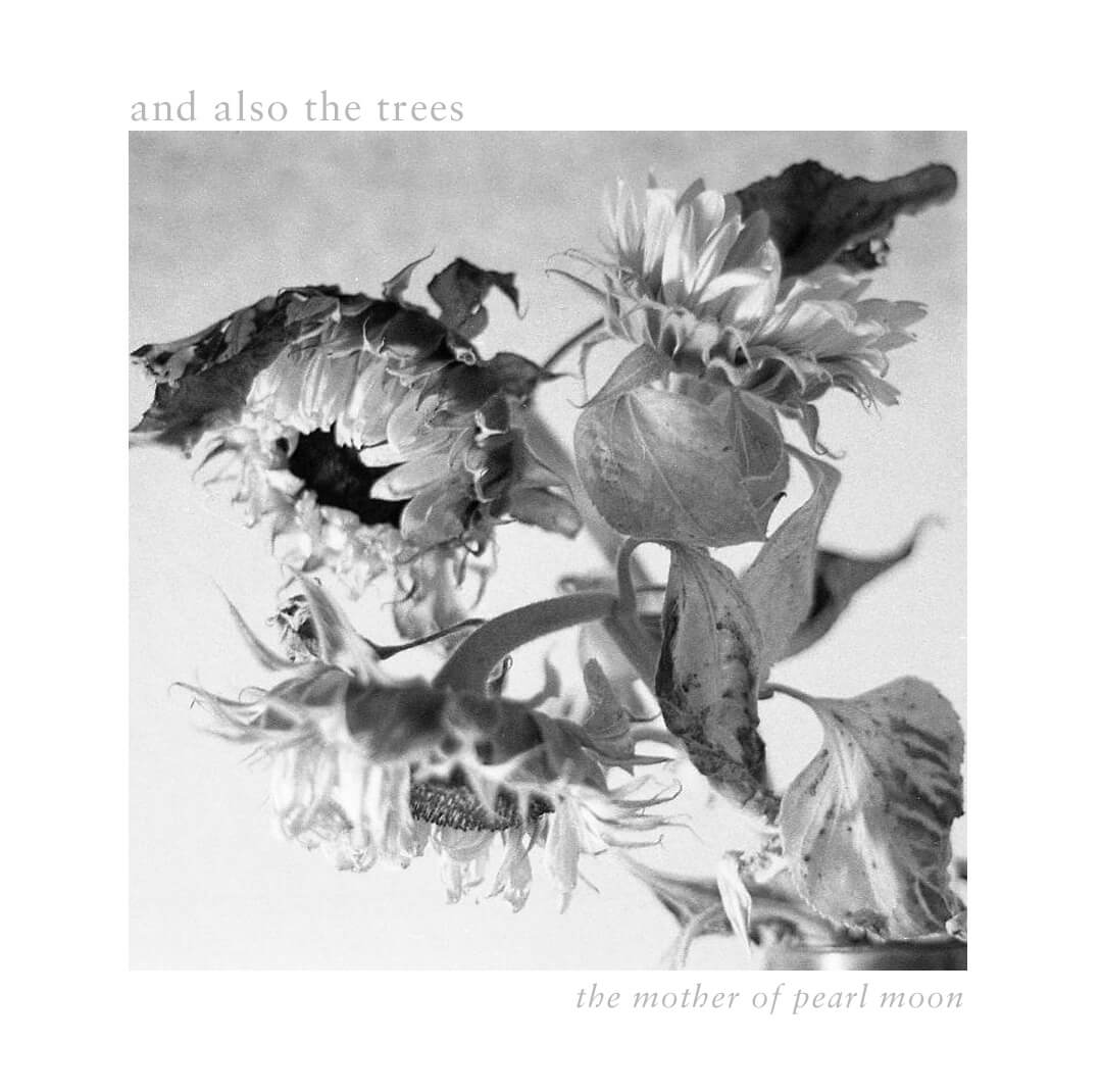 And Also the Trees - Mother-of-Pearl Moon