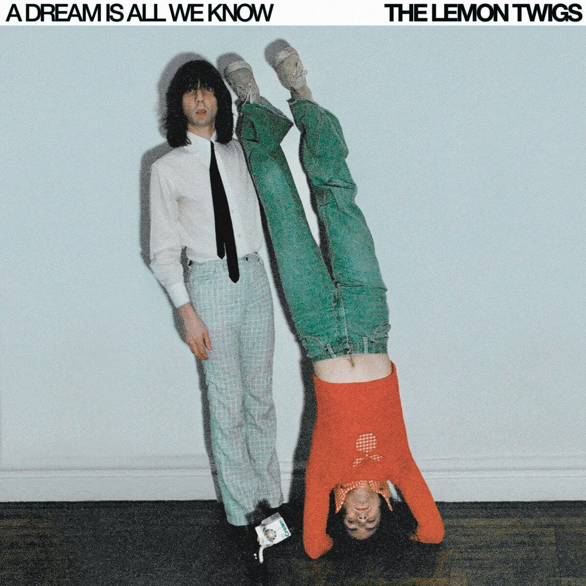 The Lemon Twigs - A Dream Is All We Know